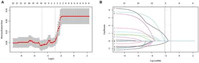 A web-based dynamic nomogram for rupture risk of posterior communicating artery aneurysms utilizing clinical, morphological, and hemodynamic characteristics